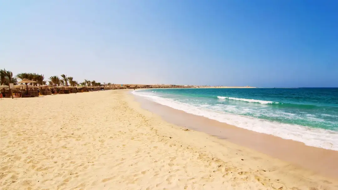 Czy jest bezpiecznie w Marsa Alam? Oto co musisz wiedzieć o zagrożeniach