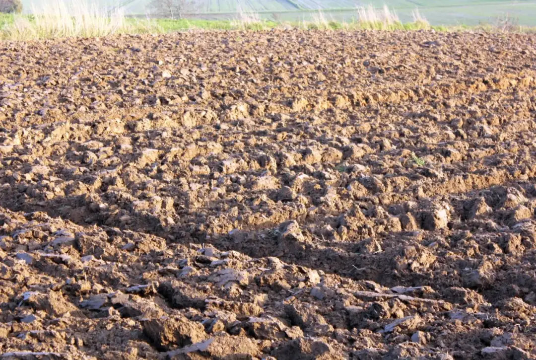 Mady gleby: Co to są i jak efektywnie wykorzystać je w uprawach?
