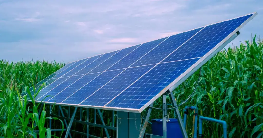 Jak zdobyć dotacje na elektrownię słoneczną i zaoszczędzić na energii