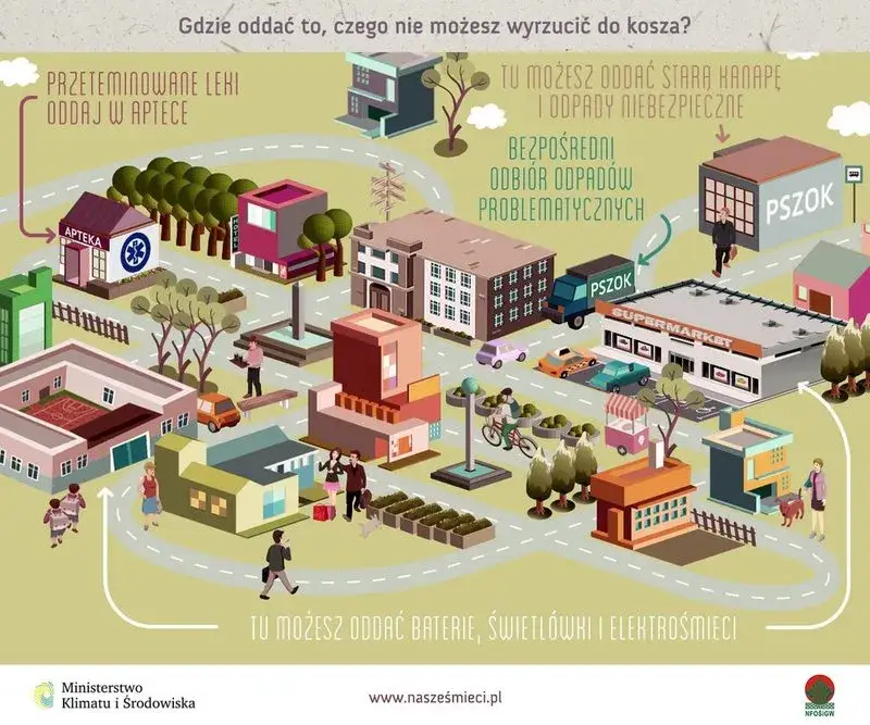 Jak ekologicznie wyrzucić stare zdjęcia? Poznaj 5 bezpiecznych metod