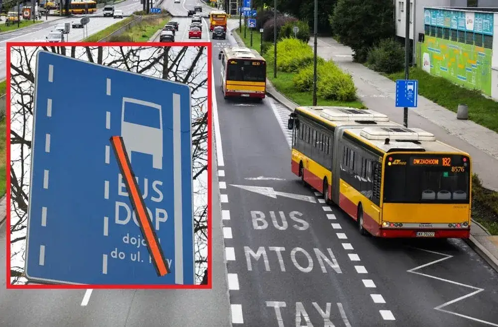 Dop bus co to znaczy i jakie pojazdy mogą korzystać z buspasów