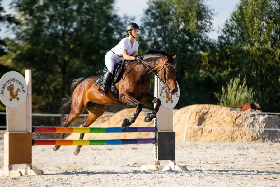 Ubezpieczenie NNW jeździectwo – jak chronić się przed wypadkami?