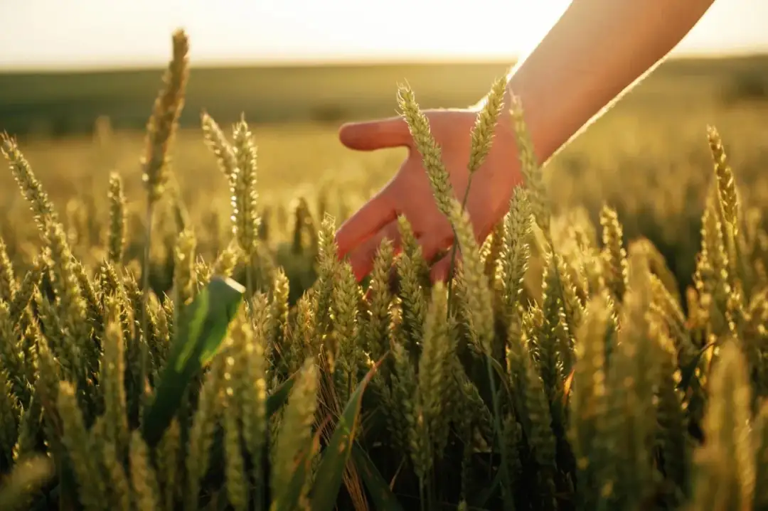 Czy znasz dni krzyżowe? To zapomniana tradycja, która powraca