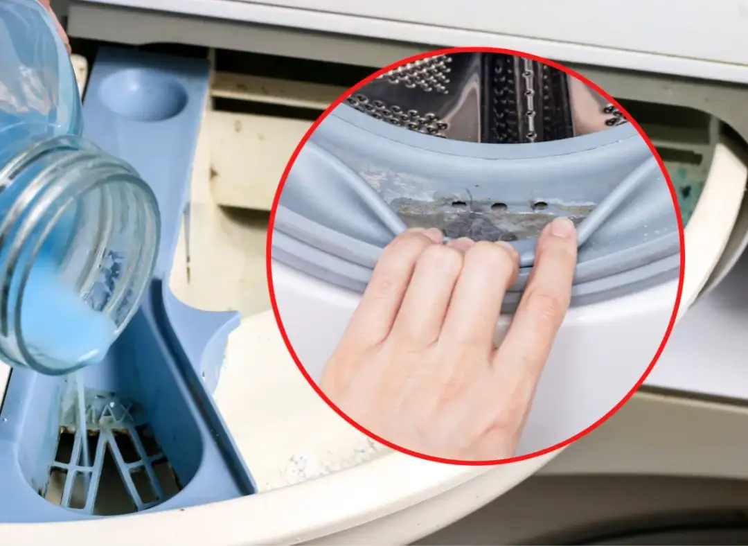 Jak skutecznie usunąć grzyb z łazienki: 8 niezawodnych metod