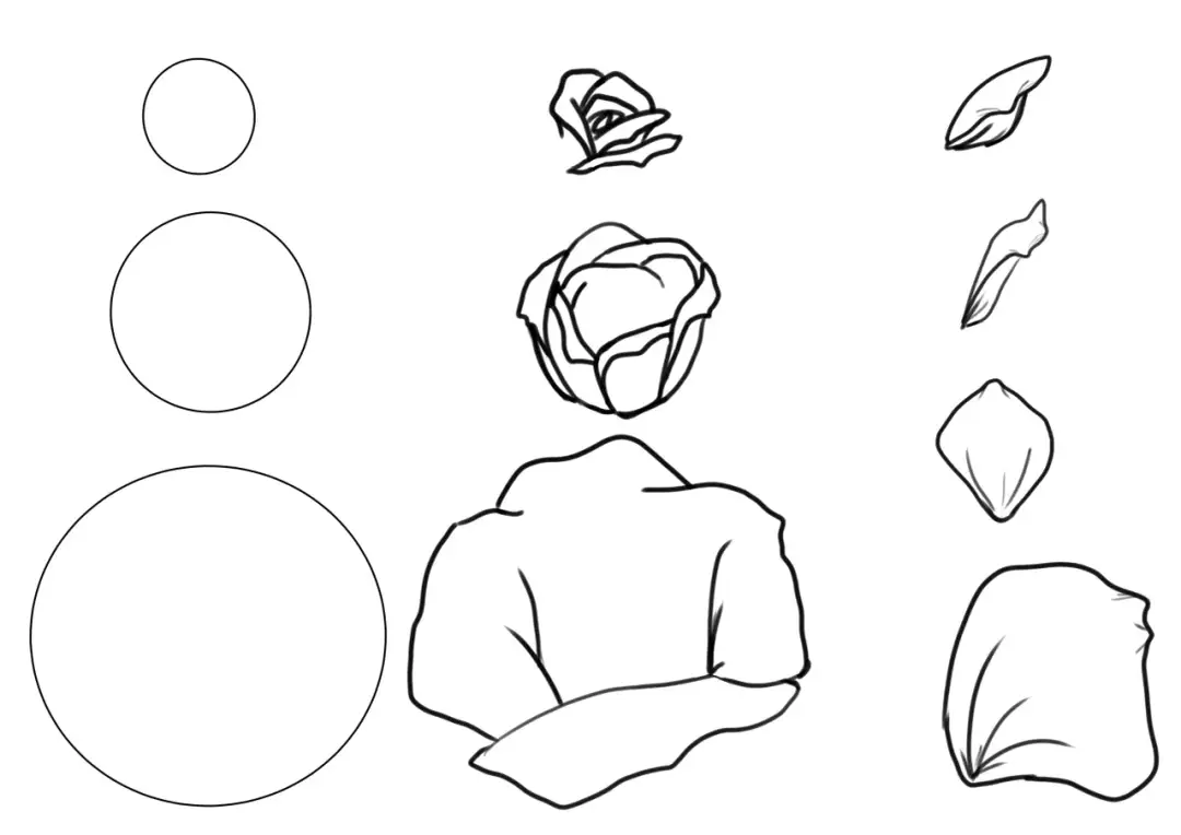 Rosen malen für Anfänger: Einfache Techniken & Schritt-für-Schritt