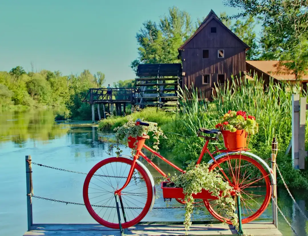 Jak zrobić kwietnik z roweru – proste kroki na oryginalną dekorację