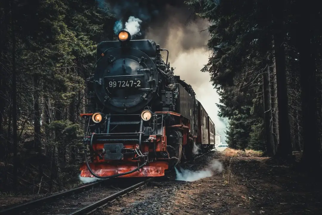 Parowóz z numerem 99 7247-2 mknie przez gęsty las, wydając kłęby dymu. Wyobraź sobie, jak to było, kiedy wynaleziono kolej.