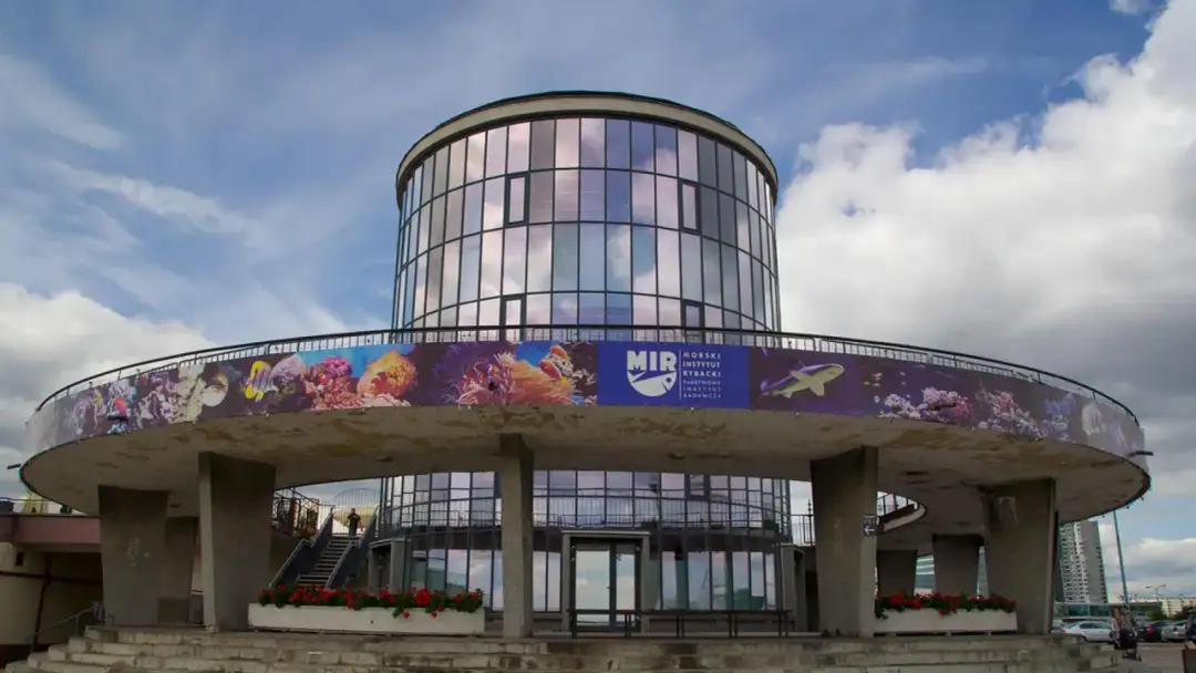 Gdynia atrakcje oceanarium: co warto zobaczyć i przeżyć?