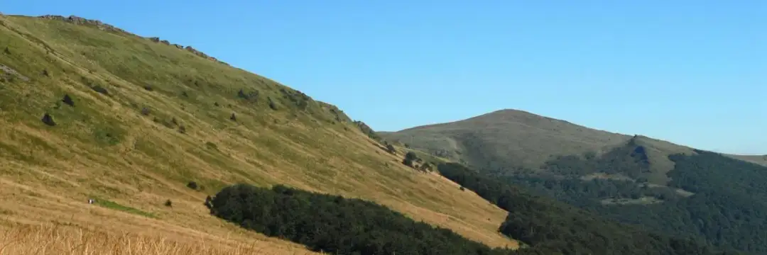 Tarnica gdzie nocleg - najlepsze opcje w pobliżu Soliny, uniknij tłumów