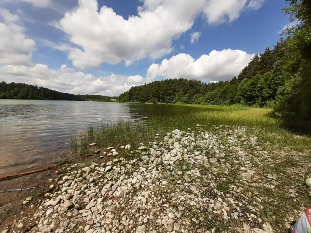 Sulęczyno: Przewodnik po atrakcjach Kaszub - co warto zobaczyć?