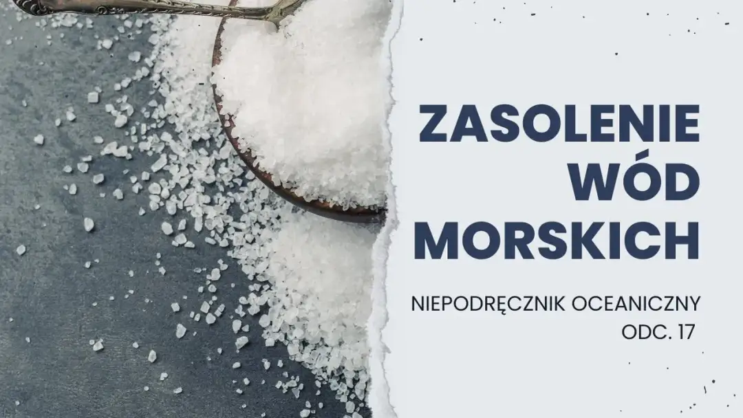 Jakie jest zasolenie Bałtyku? Zaskakujące różnice w jego wartościach