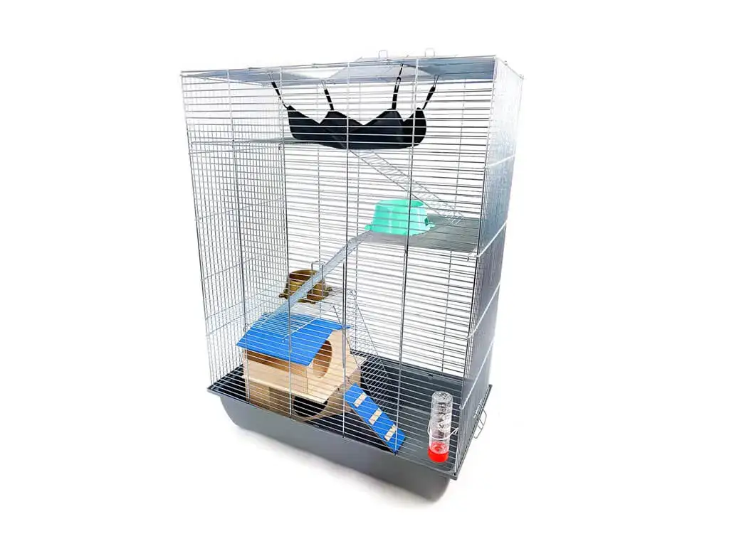 Co na dno klatki dla świnki morskiej? Najlepsze opcje, które pokochasz