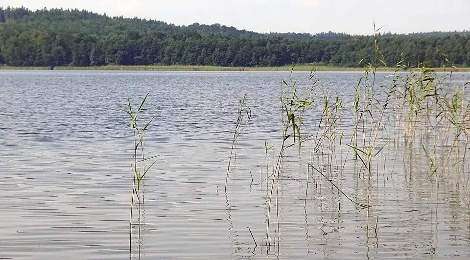 Jezioro Choczewskie: Raj dla wędkarzy i miłośników natury