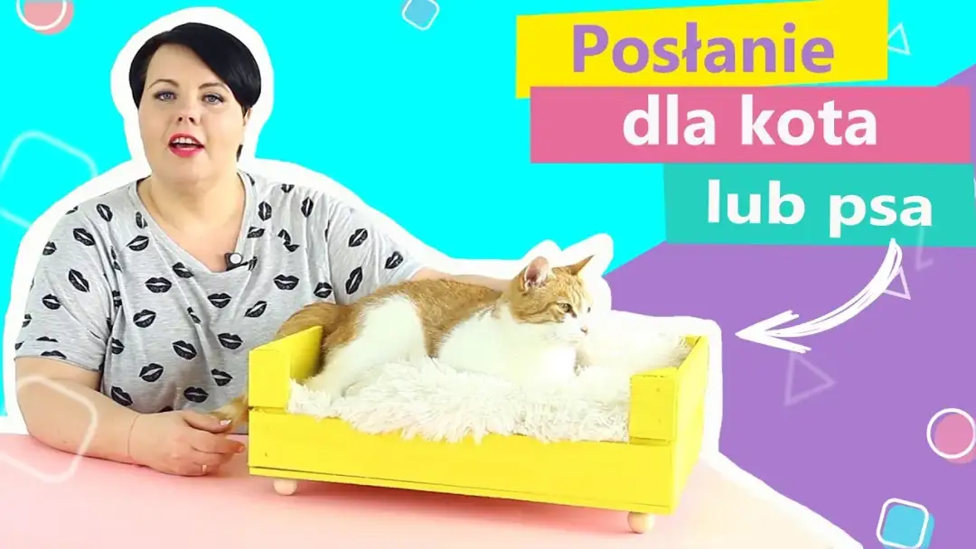 Jak uszyć wygodne legowisko dla kota – prosty poradnik krok po kroku