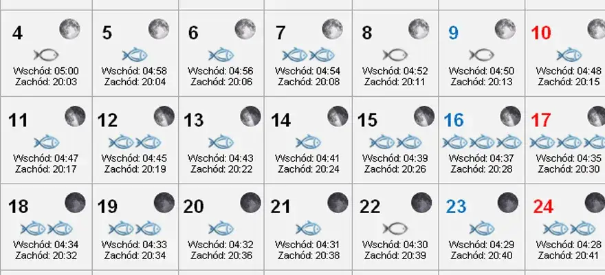 Kiedy szczupak bierze? Kalendarz brań i wpływ pogody. Wędkarski poradnik.
