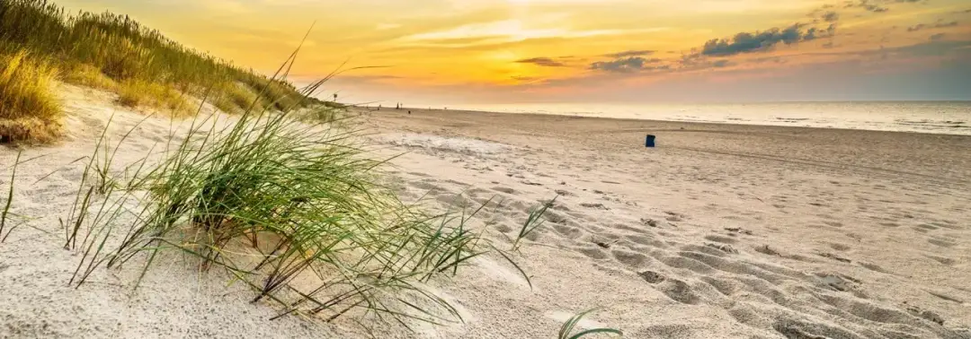 Jak dojechać z Gdańska do Krynicy Morskiej – najwygodniejsze opcje podróży