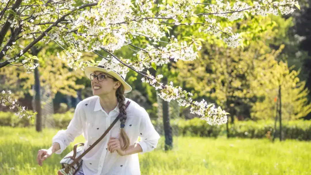 Atrakcje w Wojsławicach, które zaskoczą każdego turystę