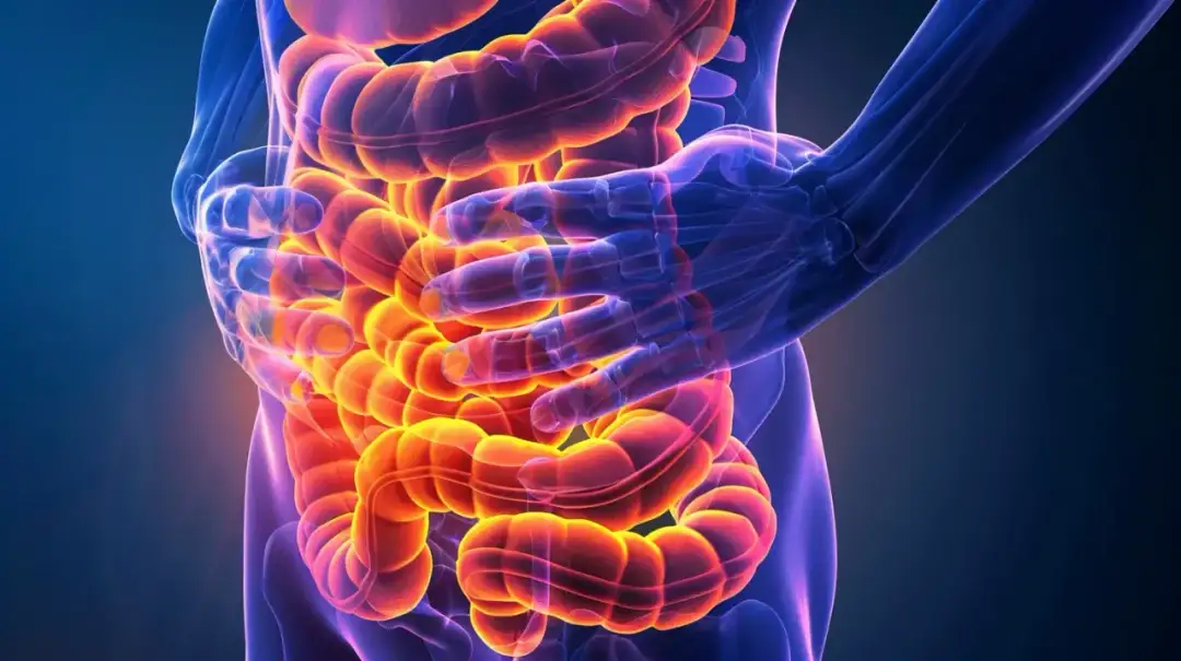 Ból jelit? Szybka ulga, dieta i sygnały alarmowe. Kiedy do lekarza?