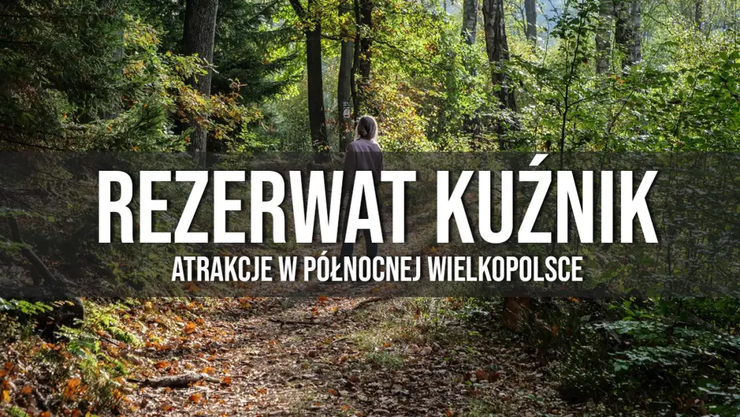 Rezerwaty przyrody w Wielkopolsce: Odkryj ich unikalne piękno
