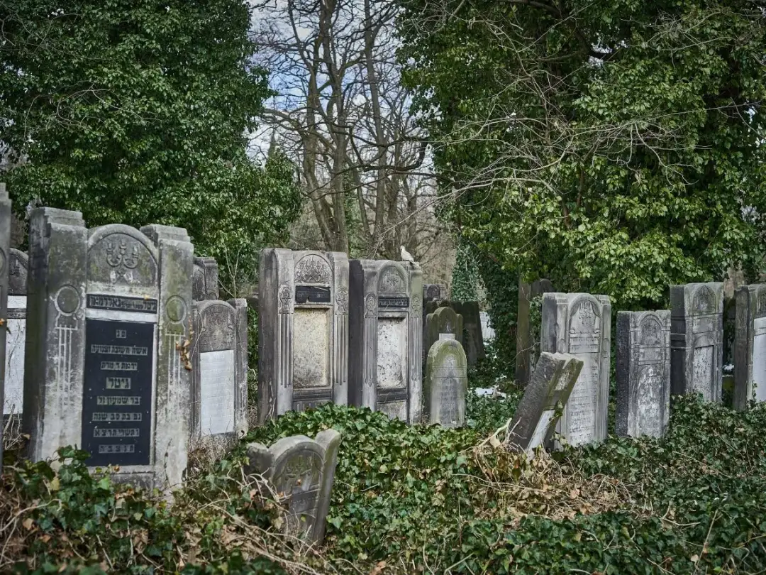 Co oznaczają kamienie na pomniku? Symbolika i tradycja żydowska