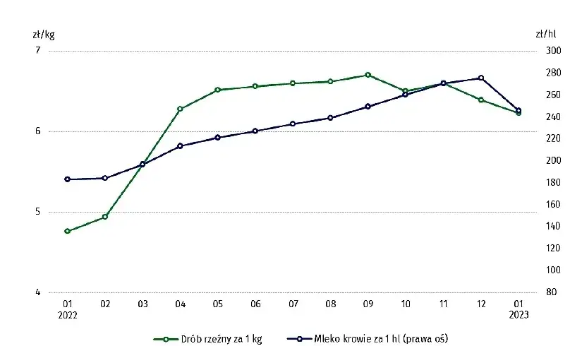 Ile kosztuje litr mleka w skupie? Zaskakujące ceny w Polsce!