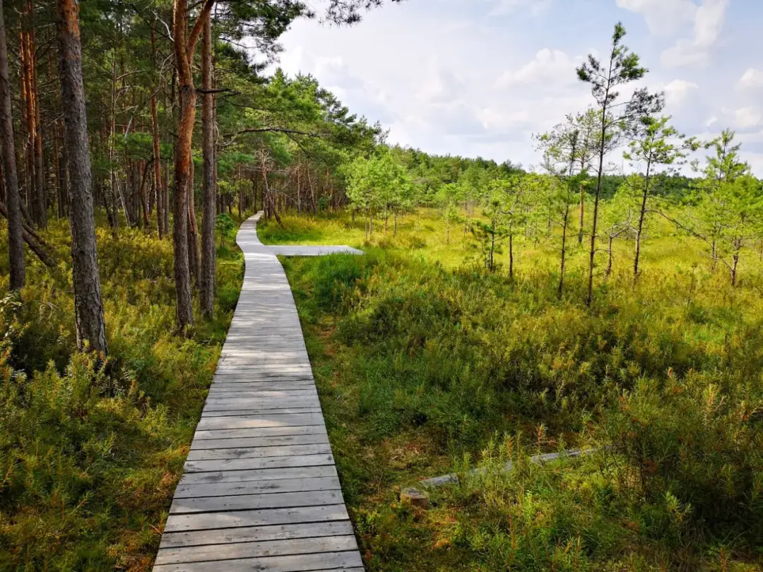 Najlepsze trasy rowerowe w Poleskim Parku Narodowym – sprawdź je teraz