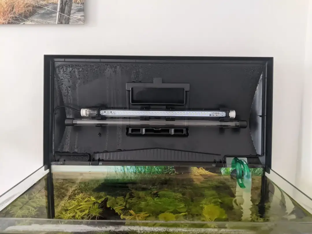 Jak zrobić oświetlenie do akwarium, aby uniknąć błędów i oszczędzać energię