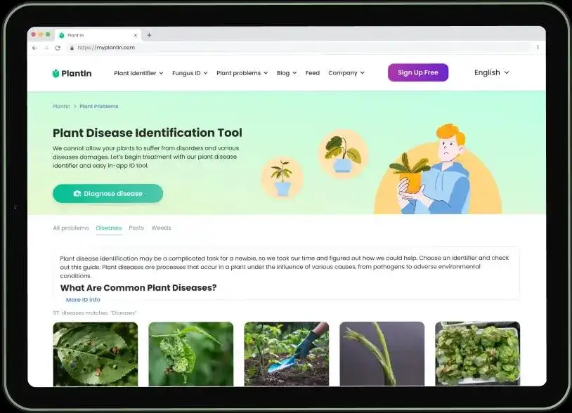 Czy aplikacja PlantIn jest darmowa? Poznaj funkcje i ograniczenia