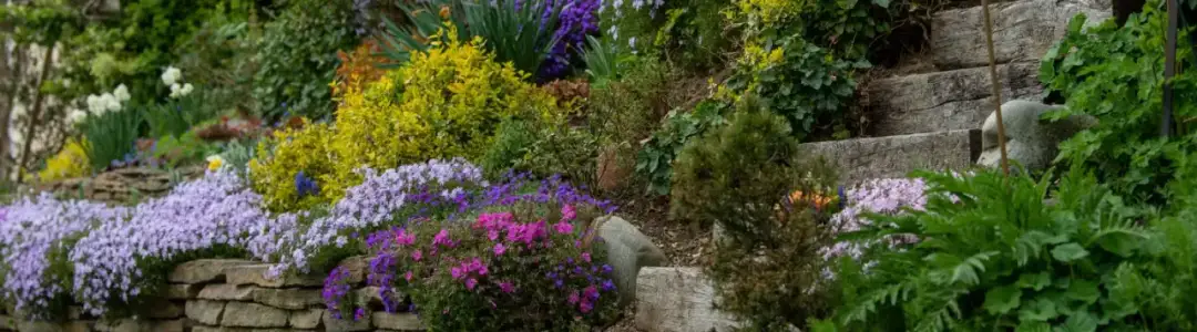 Jakie rośliny na skarpę przy tarasie? Sprawdzone pomysły na piękny i stabilny ogród