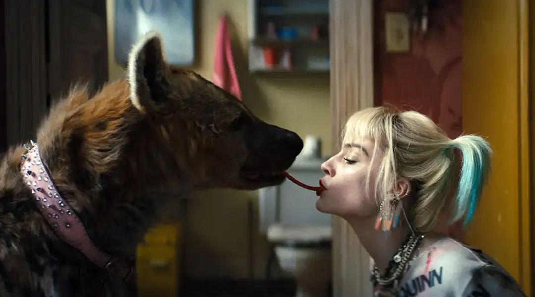 Pełna obsada Ptaków Nocy: aktorzy, którzy wcielili się w role