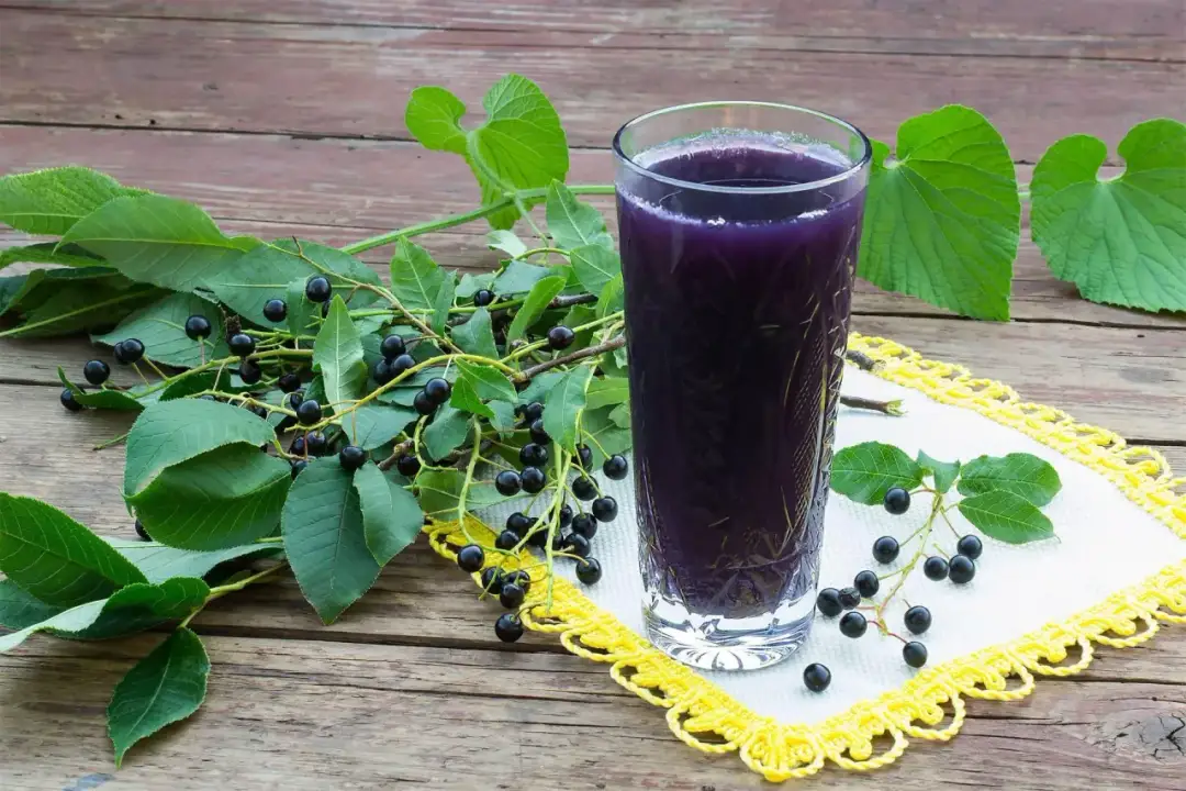 Jak zrobić sok z czeremchy – prosty przepis na smakowity napój