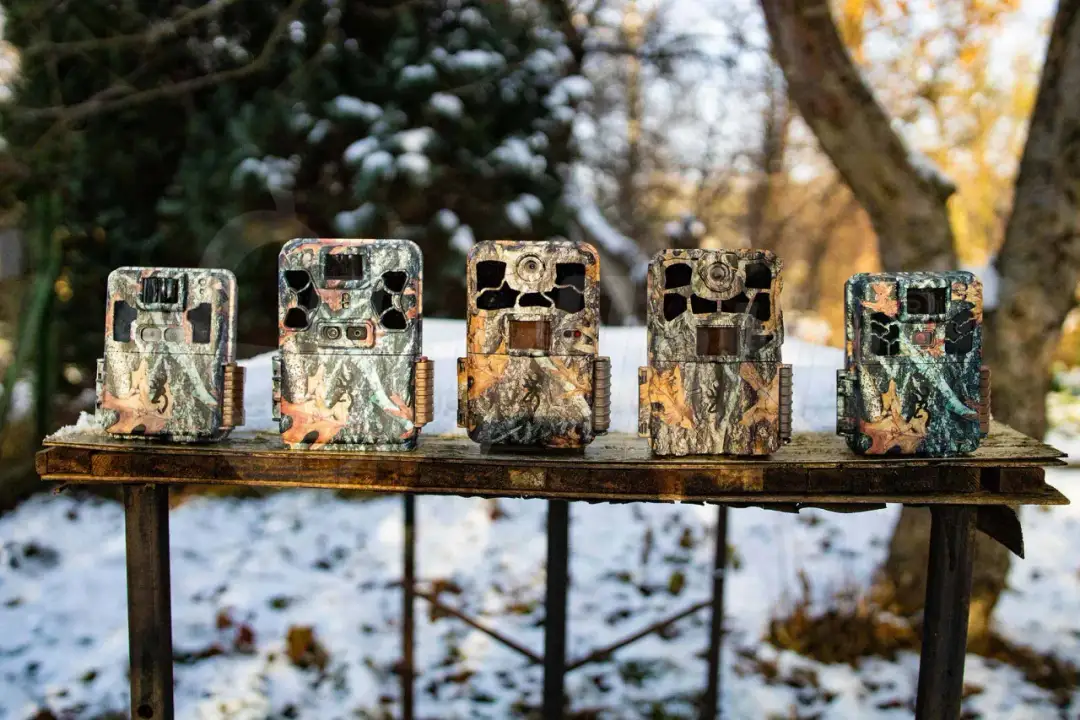 Fotopułapka: Jaką wybrać? Poradnik eksperta i ranking modeli