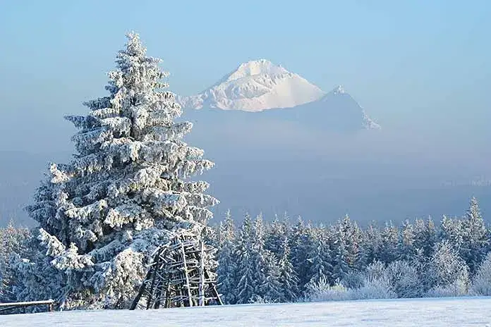 Najlepsze szlaki z Murzasichle, które musisz poznać przed wędrówką