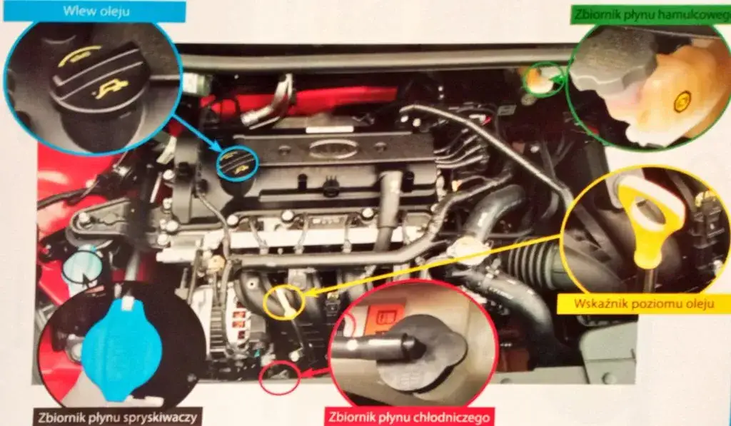 Co sprawdzić pod maską na egzaminie na prawo jazdy? Podstawowe elementy i procedura