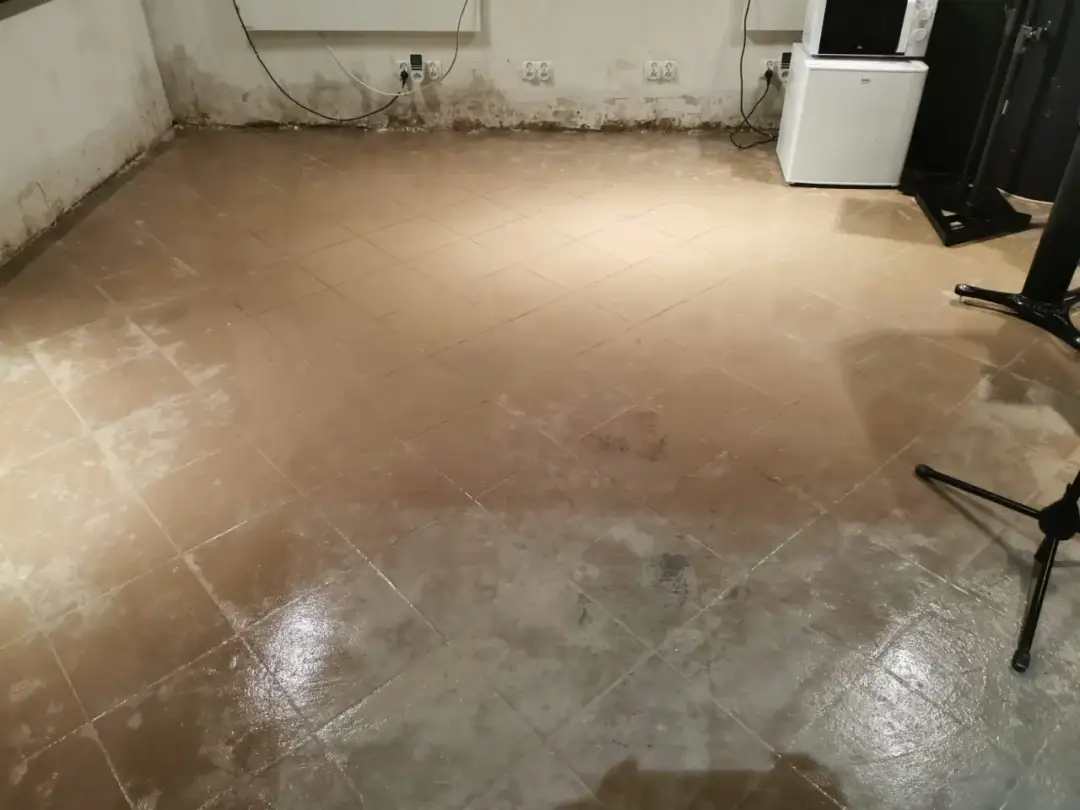 Ukryty wróg po zalaniu – jak walczyć z pleśnią w murach?