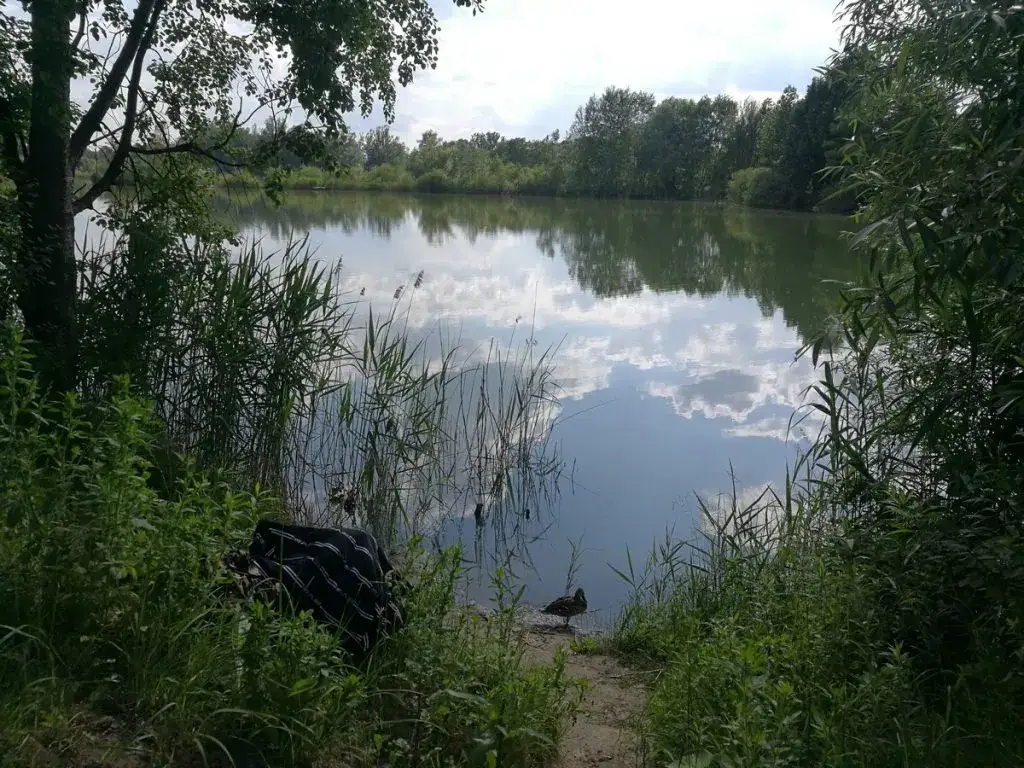 Glinianki Zielonka - Stawy w miejscowości Zielonka