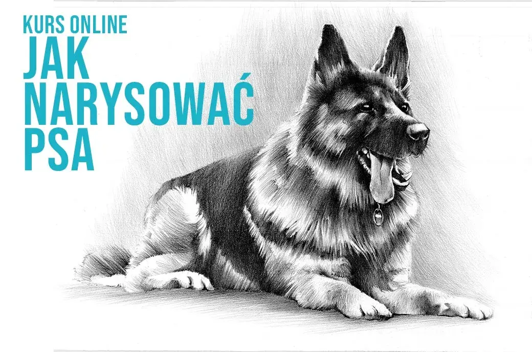 Proste sposoby jak narysować owczarka niemieckiego krok po kroku dla początkujących