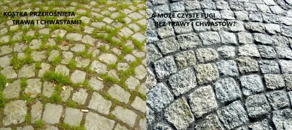 Skuteczne metody na usunięcie zielonego nalotu z kostki brukowej