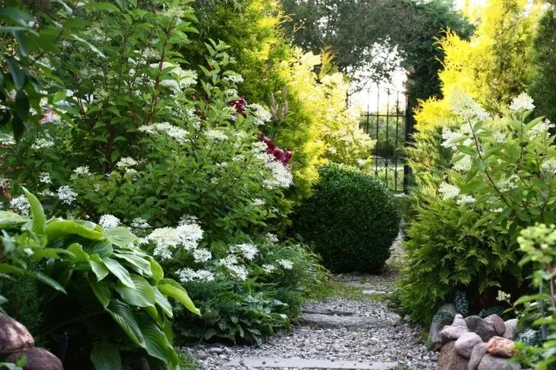 Kwiaty na działkę rekreacyjną: Piękne i bezobsługowe? To możliwe!