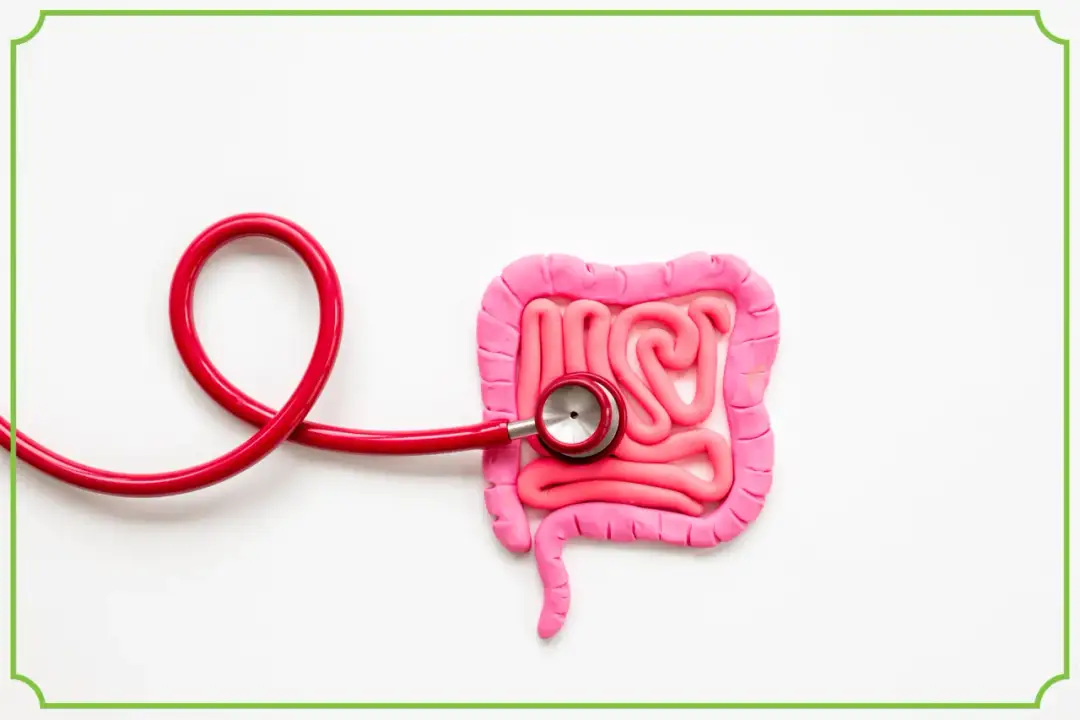 Skręt jelit: Objawy zagrożenia życia. Jak rozpoznać i co robić?