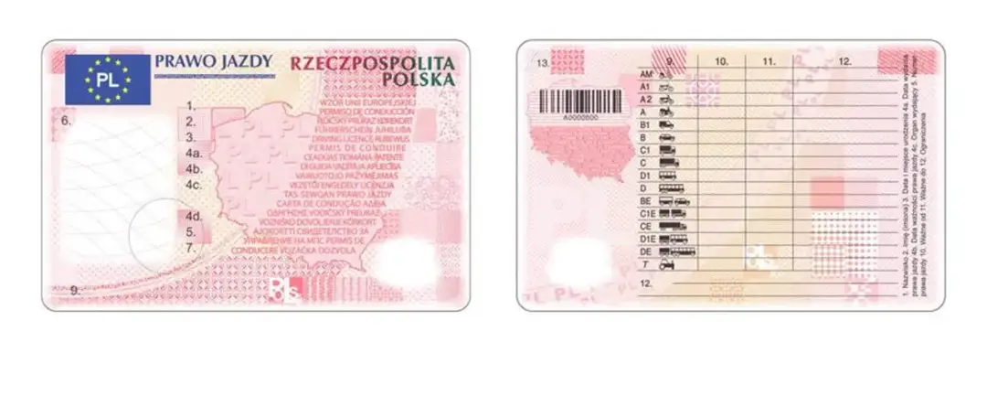 Jak zamówić prawo jazdy online - krok po kroku bez zbędnych problemów