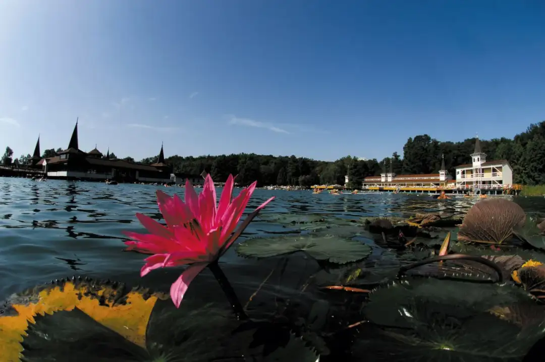 Hévíz atrakcje: odkryj tajemnice termalnego jeziora i więcej