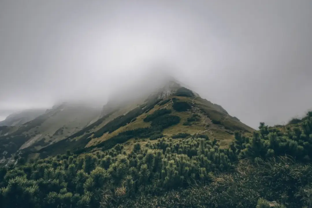 Szlaki z Bukowiny Tatrzańskiej: Odkryj Tatry dla każdego!