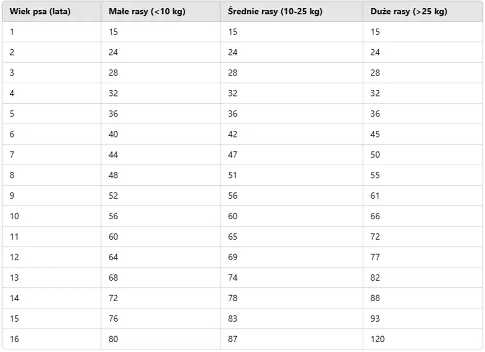 Wiek szczeniaka: jak go ocenić? Zęby, rozwój, zachowanie