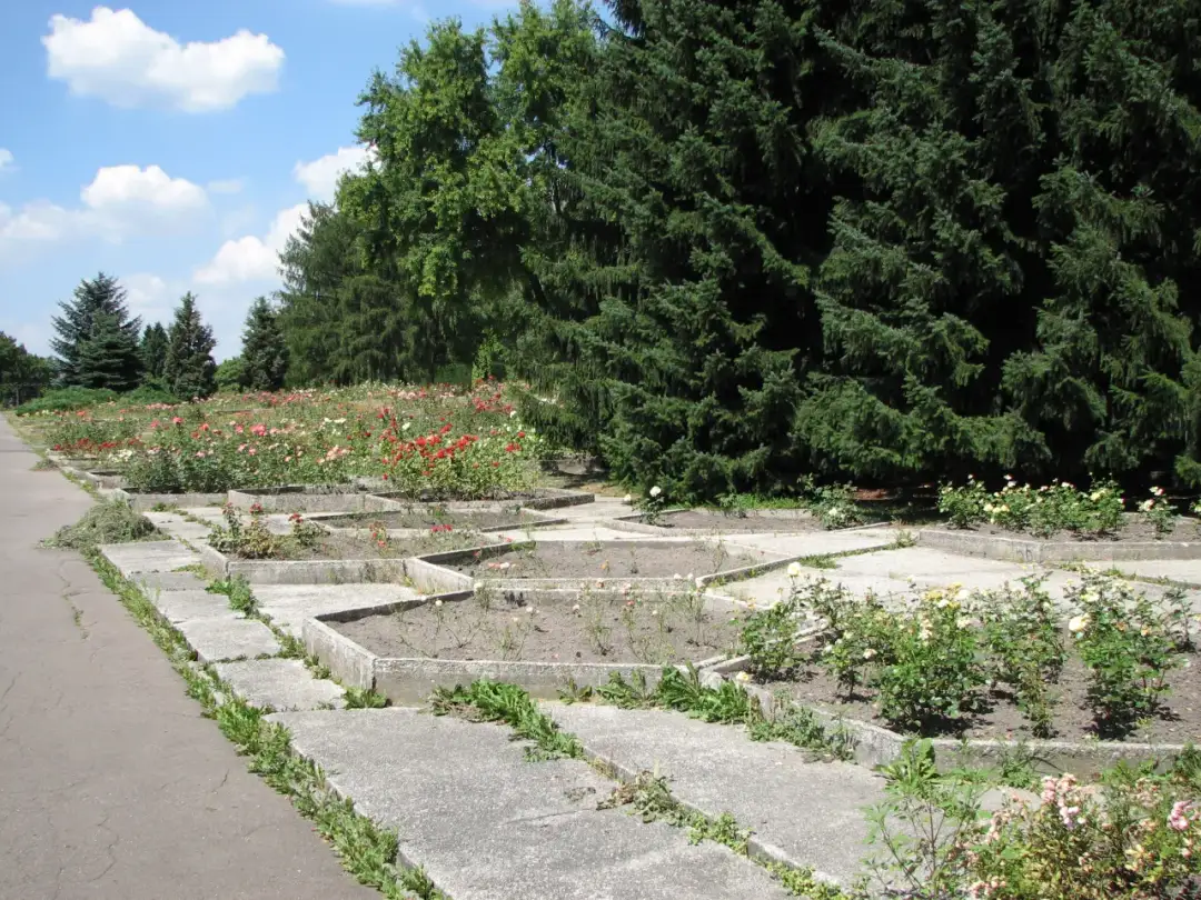 Rosarium Park Śląski: Największy ogród różany w Polsce przewodnik