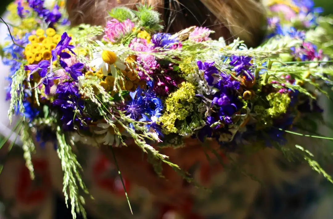 Rośliny miłości: poznaj ich znaczenie i wpływ na romantyzm