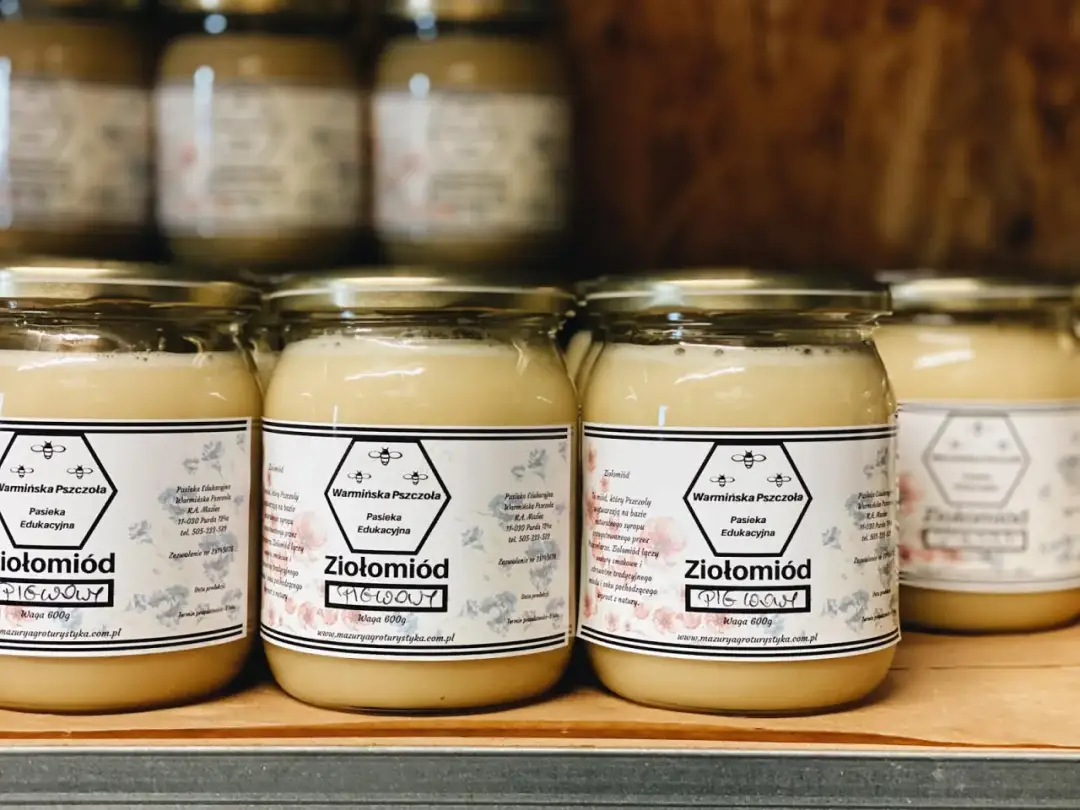 Co zjeść w Olsztynie? Odkryj smaki Warmii i Mazur, które zaskoczą