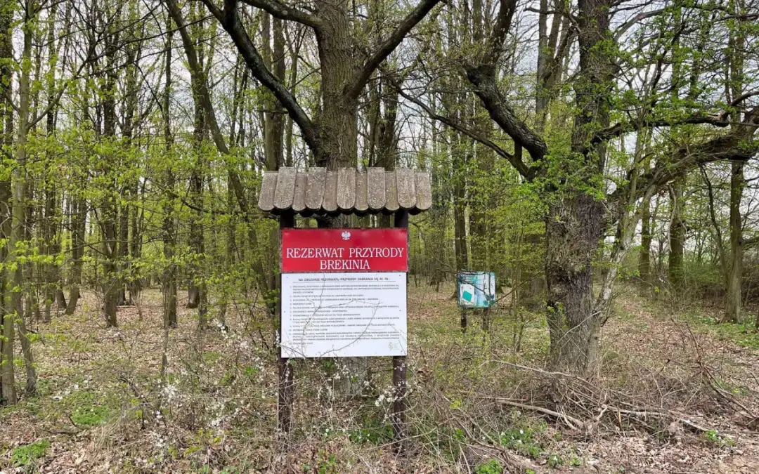 Rezerwaty przyrody Dolny Śląsk - Odkryj ich niezwykłe piękno i znaczenie
