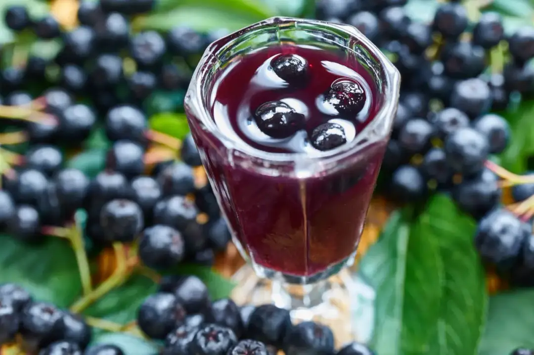 Jak zrobić nalewkę z aronii - prosty przepis na domowy trunek