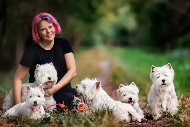 Behawiorysta dla psa: Ile kosztuje i jak wybrać mądrze?